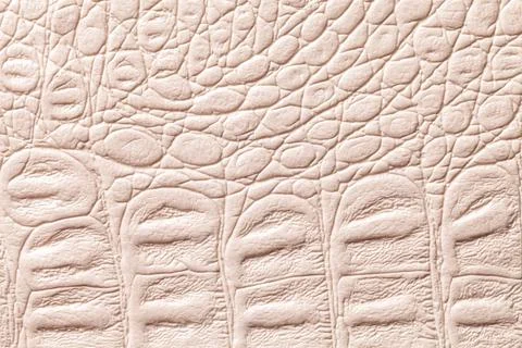 Beige leather texture background, closeup. Reptile skin, macro. 스톡 사진