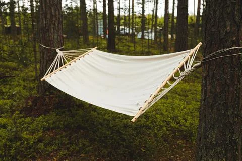 A beige linen hammock is stretched between the trees in a pine forest. No peo Stock Photos