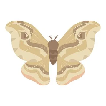 Beige moth spreading its wings on white background Stock Illustration