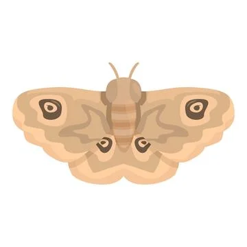 Beige moth standing on a white background Illustrazione stock