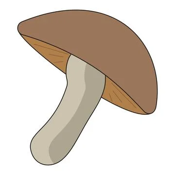 Beige mushroom, fall 스톡 일러스트