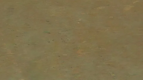 Beige Olive Analog Grunge Texture With Worn Surface Видео 335893942
