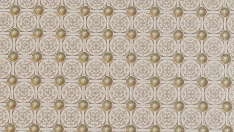Beige Patterned Tiles with Circular Motifs Video stock 318954979