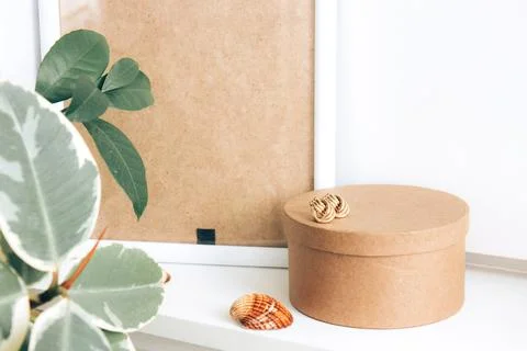 Beige poster frame, craft round box and indoor evergreen potted plant Stock Photos