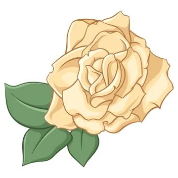 Beige rose. Vector illustration. Stock Illustration