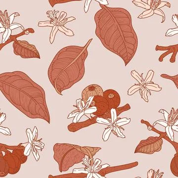 Beige seamless pattern with flowering coffee branch Stock Illustration