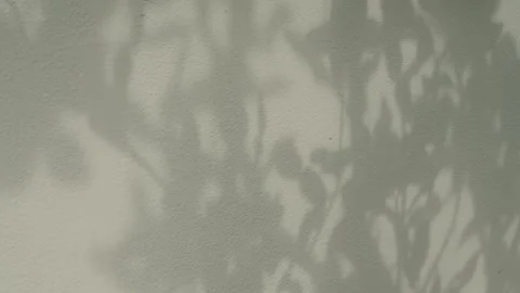 Beige shadow leaf brown background wall floor gradient peach color Stock Footage 346113690