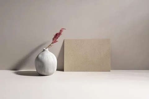 Beige sphere vase with withered raglas. Sunlight table background. Brown ca.. Stock Photos
