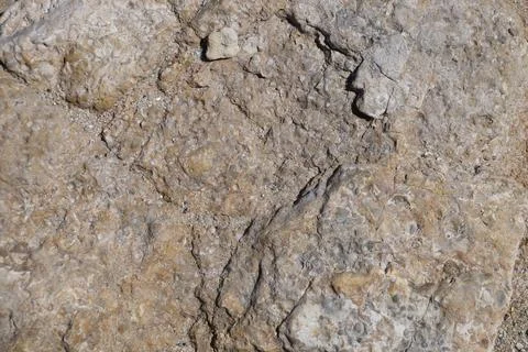 Beige stone texture close up in sunlight Stock Photos