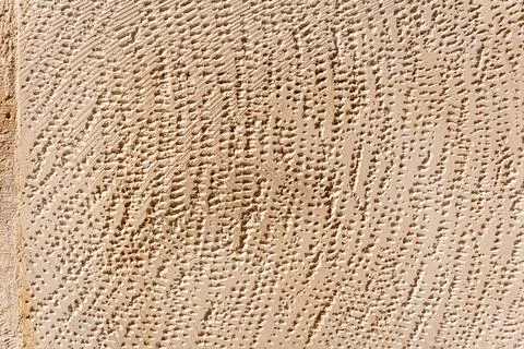 Beige stucco wall surface texture bg Stock Photos