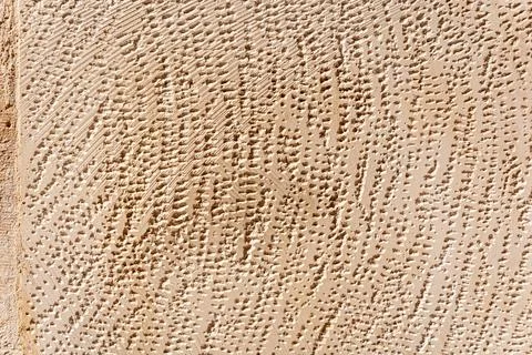 Beige stucco wall texture background Stock Photos