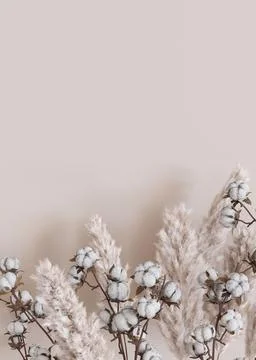 Beige vertical background with dried plants and empty space for text. Bottom Stock Illustration
