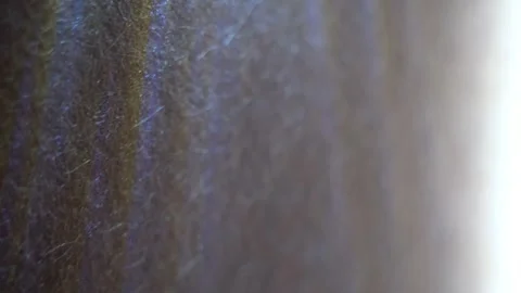 Beige Walls: Subtle Tones, Timeless Style Stock Footage 306839490