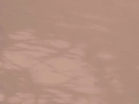 Beighe Background Light Shadow Wall Floor Abstract Overlay Window Stock Photos