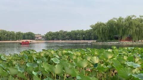 Beihai lake in Beijing 스톡 동영상 341982578