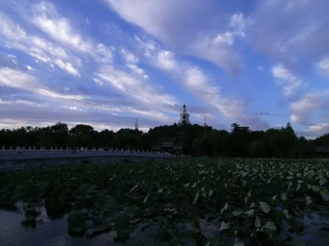 Beihai park moning Stock-Footage 10902893