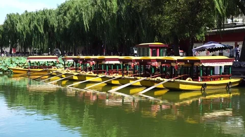 Beihai park scenery in summer 스톡 동영상 80053653
