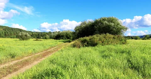 Beiji village in summer 库存影片 218851079