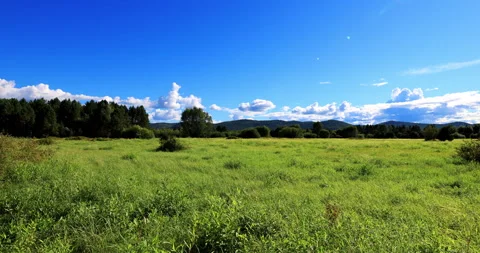 Beiji village in summer 库存影片 218852934