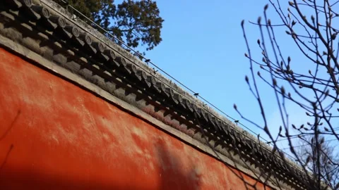 Beijing ancient building red wall Stock Footage 171552657