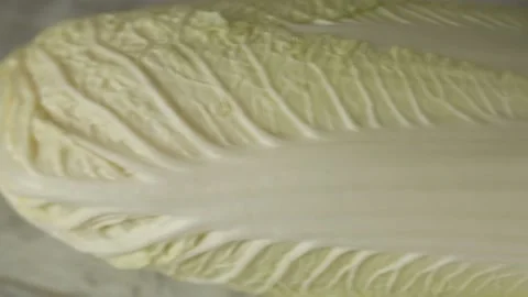 BEIJING CABBAGE 2 Stock Footage 155653284