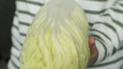 BEIJING CABBAGE 3 Stock Footage 155653298