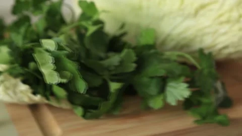BEIJING CABBAGE 5 Stock Footage 155653293