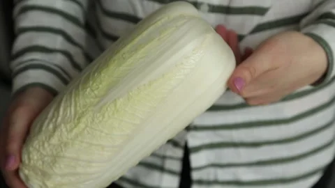 BEIJING CABBAGE IN HANDS Stock Footage 155653297