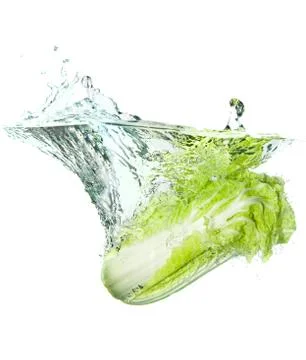 Beijing cabbage in water splash Stock Photos
