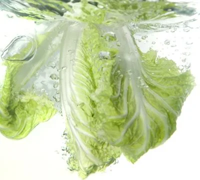 Beijing cabbage in water splash Stock Photos