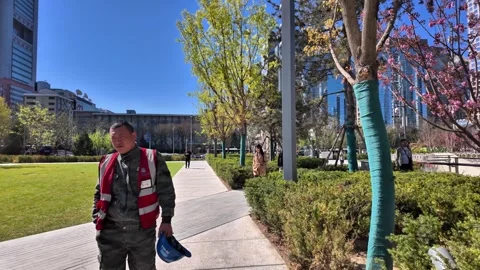 Beijing CBD Morning Rush Hour Traffic and Skyscrapers, China - April 2026 Stock Footage 336601806