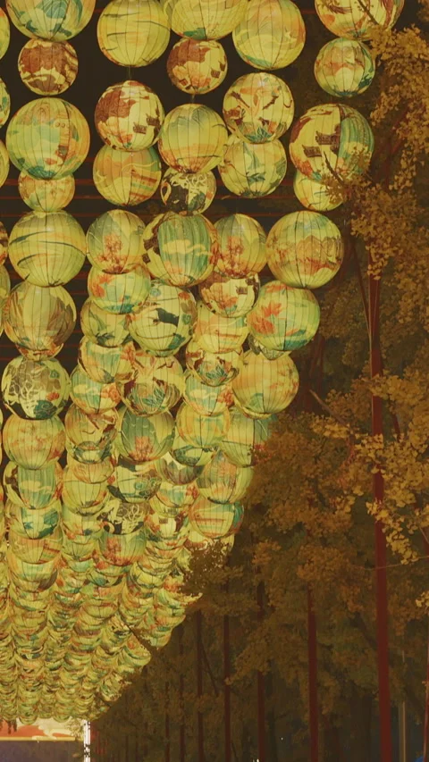 Beijing, China. People Visit Zigong Lantern Festival In Beijing. Traditional Stock Footage 341389136