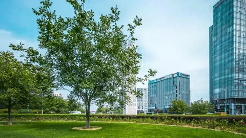 Beijing Economic-Technological Development Area Stock Footage 163787103