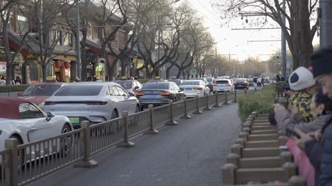 Beijing local street view with tree range on bothside around Shishahai Area.. Vídeo Stock 338330840