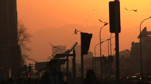 Beijing, Olipmic Center Stock Footage 10879094