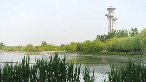 Beijing Olympic Tower Lake Reflection Tree Reflection Stock Footage 195462783