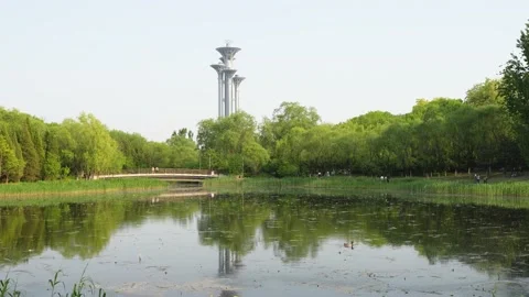 Beijing Olympic Tower Lake Reflection Tree Reflection 库存影片 195463633