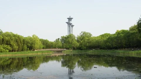Beijing Olympic Tower Lake Reflection Tree Reflection 库存影片 195463635