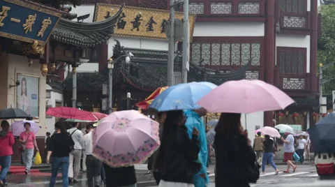Beijing people with umbrellas Stock Footage 66242554