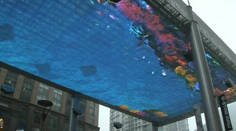 Beijing The Place 9 Stock Footage 328704