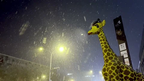 Beijing snow Stock Footage 170652748