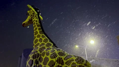 Beijing snow Stock Footage 170652759