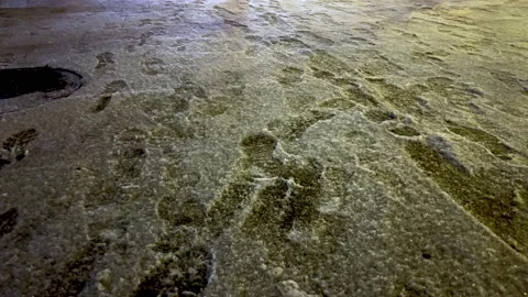 Beijing snow Stock Footage 170652766