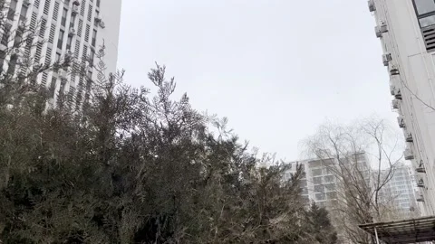 Beijing snow Stock Footage 170652772