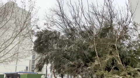 Beijing snow Stock Footage 170652808