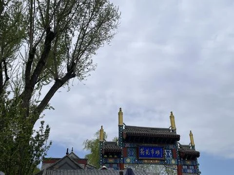 Beijing Spring Scene with Tree and Lotus Market Archway Stock-Fotos