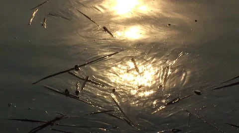 Beijing Summer Palace Sunset Water Video stock 45063653