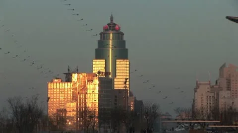 Beijing view of the skyscraper Video stock 10879099