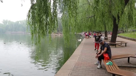 Beijing Zoo visitors stroll through the park, China Stock-Footage 57220128