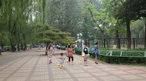 Beijing Zoo visitors stroll through the park, China Stock Footage 57220172